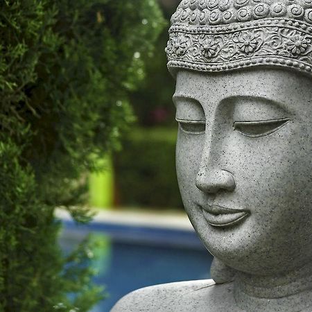 Casa Domingo Hotel Petit Miacatlán 외부 사진