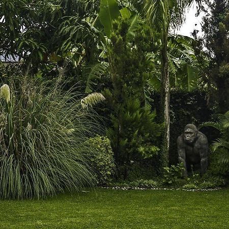 Casa Domingo Hotel Petit Miacatlán 외부 사진