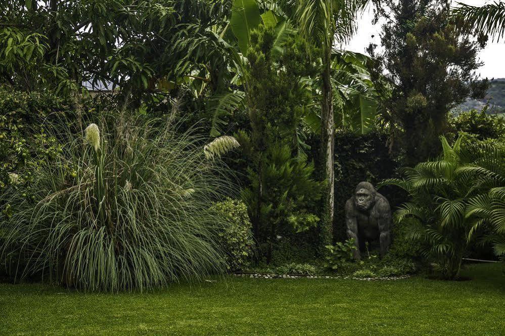Casa Domingo Hotel Petit Miacatlán 외부 사진